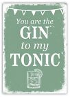 Metal Wall Sign - You Are The Gin To My Tonic - Green - Drinks Love Friends