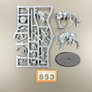 BARROW KNIGHT MUSICIAN C WARHAMMER AOS SOULBLIGHT DEATHRATTLE SKELETON CAVALRY - Picture 1 of 1