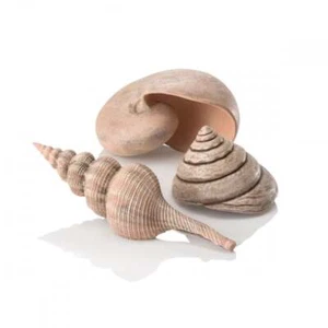 BiOrb Sea Shells - Natural - Picture 1 of 1