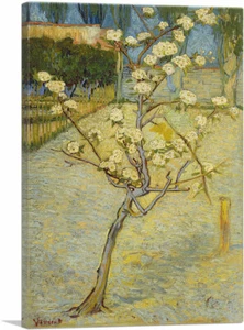 ARTCANVAS Kleiner Birnbaum in Blüte 1888 Leinwand Kunstdruck von Vincent van Gogh - Bild 1 von 15