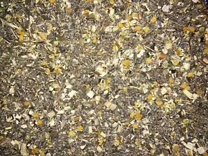 1 kg Wurmkräuter Kraut Pferde Hunde Katzen Tiere Wurmkur Wurmkraut Schafe Rinder - Bild 1 von 1