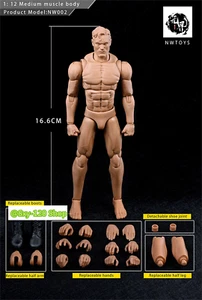 NWTOYS 1/12 Flexible Suntan Muscle Soldier Body Set Male Action Figure Toys - Picture 1 of 9