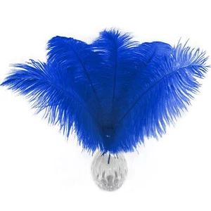 10pcs Natural Blue Ostrich Feathers 10-12 inch 25-30cm Bulk Feathers for Home... - Picture 1 of 5