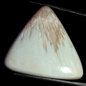 27.90 Cts Pink Scolecite Wire Wrapped Earrings Making Cabochon Natural 26X27X7MM - Picture 1 of 6