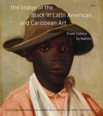 The Image of the Black in Latin American and Caribbean Art by David Bindman NEUF - Photo 1/2