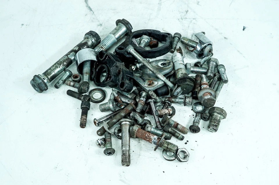 08 Harley Sportster Anniversary XL1200C OEM Hardware Bolts Nuts & Brackets 1309 - Image 1 of 4