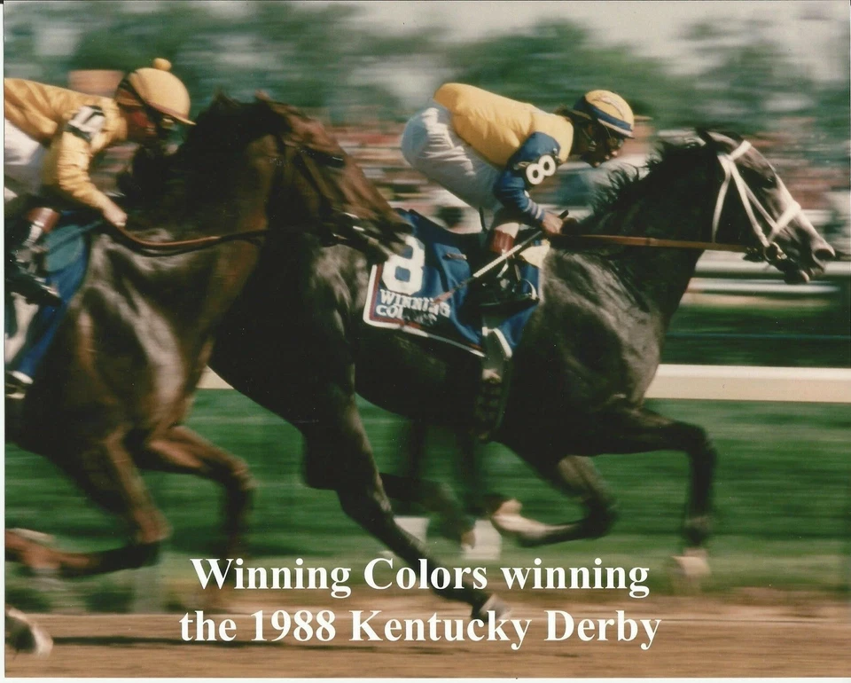 1988 - COLORES GANADORES ganando el Derby de Kentucky - Color Primer plano - 10" x 8" Foto 1 de 1