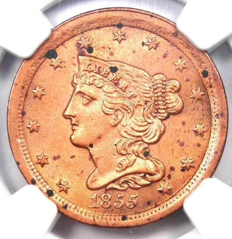 1855 Braided Hair Half Cent 1/2C Coin - Certified NGC Uncirculated Detail UNC MS Cover