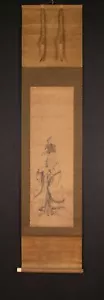 HANGING SCROLL KAKEJIKU / Jurojin God of Longevity by Kazan Watanabe / 渡辺華山 #900 - Picture 1 of 10