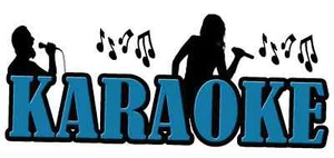 HITS OF 2009 - 28 PROFESSIONELLE KARAOKE-HITSONGS - SPIELT AUF JEDEM DVD-PLAYER AB - Bild 1 von 1