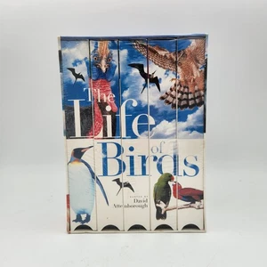 The Life Of Birds VHS Set 1998 Narrated By David Attenborough BBC Video NEW - Foto 1 di 4