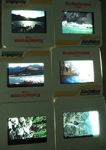 Lot of 6 Original Vintage 35mm Kodak Photo Color Slides Nature Kodachrome - Picture 1 of 10