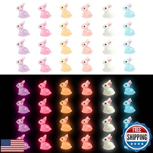60 Pcs Easter Mini Resin Rabbit 6 Colors Luminous Miniature Bunny in The Dark - Picture 1 of 5