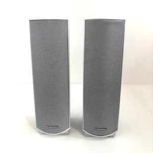 Sistema de altavoces Panasonic SB-FS841 X2 - plateado - solo unidad - Imagen 1 de 6