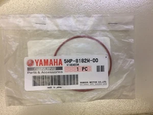 Yamaha Raptor 250 (08-19) starter motor seal - Picture 1 of 1