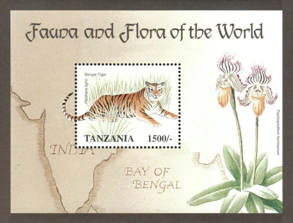 Tanzania 1998 - Fauna y flora, tigre, orquídea - Hoja de recuerdo - Scott 1718 - MNH Foto 1 de 1