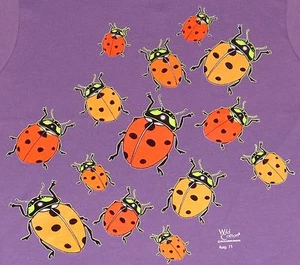 Camiseta LADYBUGS-Escarabajos Insectos Ciencia Naturaleza Brillo en la Oscuridad Niño Pequeño 4T - Imagen 1 de 2