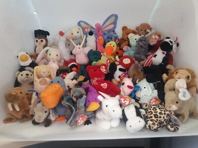 50 Ty Beanie Babies Job Lot Bundle Various BEARS 90s-2000 Inc Rare And Retired - Image 1 of 4
