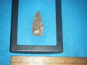 2 1/2 Zoll    INDISCHE PFEILSPITZE PALEO ACHATBECKEN VON Pasco Co. FL.. - Bild 1 von 5