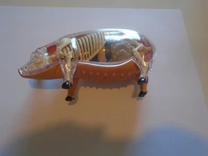 Elmhurst 4D Vision Schwein Anatomie Modell Made in USA mit Box Bauernhof Tierarzt Schule Schinken - Bild 1 von 11