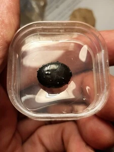 !! Collector - Wabar Pearl, the rarest tektite - Perfect intact piece! - Picture 1 of 6