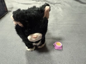 AMERICAN GIRL 18" DOLL PET TUXEDO BLACK & WHITE CAT WITH FOOD BOWL - Picture 1 of 6