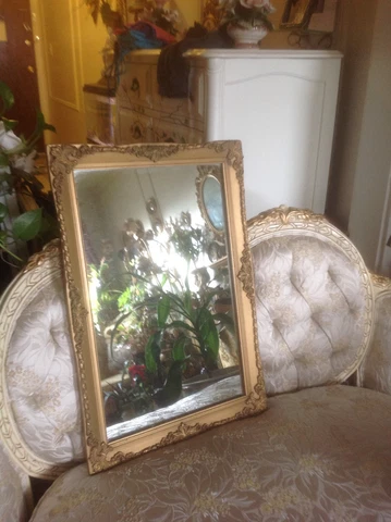 Vintage Antique Style Gold Ornate Gilt Mirror Cover