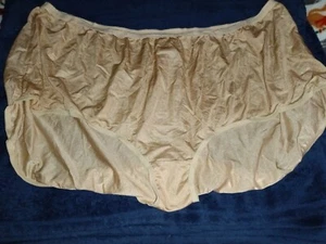 New w/o Tag,Comfort Choice Women's Panty, Tan Nylon, Size 16 - Picture 1 of 1
