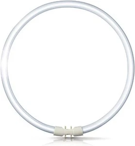 Circular 40w Fluorescent T5 Tube 2GX13 Daylight 6500k 306mm Diam LIGHT BULB NEW - Picture 1 of 2