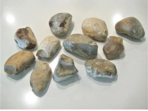 11.5 Lbs FLINT CHERT Stone for Flint Steel Fire Starter Arrow Knapping FREE SHIP - Picture 1 of 7