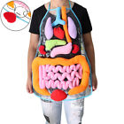 Anatomy apron human body organs awareness educational insights children toy  WY2