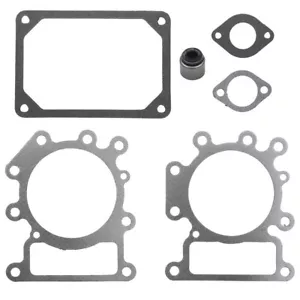 Nuovo set guarnizioni valvole adatto per John Deere LA125 con motore Briggs & Stratton 21 CV - Foto 1 di 1