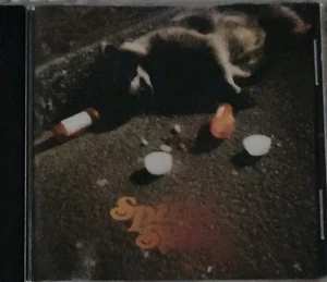 Spiral Stairs: The Real Feel (CD, Oct-2009, Matador Records - Bild 1 von 3