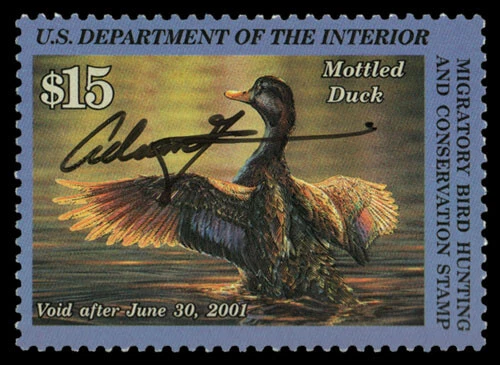 RW67S — Federal duck stamp signed by artist Adam Grimm. ON SALE! - Image 1 of 1