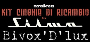 ★KIT CINGHIE 2+4 ANELLI PER PROIETTORE SILMA BIVOX D'LUX STANDARD 8 SUPER 8 mm★ - Photo 1/1