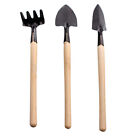 Baluue 3pc Gardening Tool Set with Wooden Handle