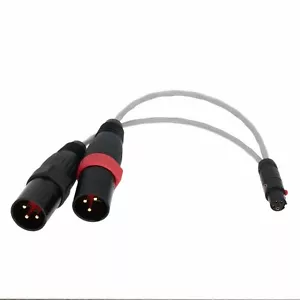 Mini-XLR 5pin TA5F to 2x Large XLR Male 3Pin 10" L-2B2AT Microphone Audio Cable - Picture 1 of 5