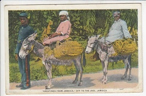 CPA AMERIQUE ILE JAMAIQUE - ANE DONKEY PRISON JAIL GREETINGS JAOL 1930 ~D33 - Picture 1 of 2
