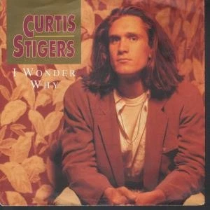 Curtis Stigers I Wonder Why 7" vinyl UK Arista 1991 B/w nobody loves you like i - Image 1 of 1