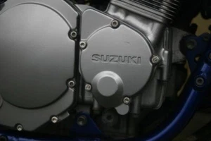 Suzuki GSX-F 1200 V2A Motorschraubensatz Edelstahl Super Optik - Imagen 1 de 7