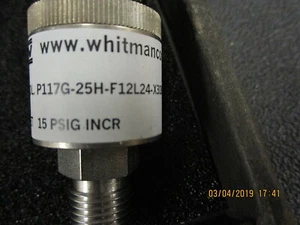 P117G-25H-F12L24-X30896 Whitman Controls Stainless Steel Body PressureBRAND NEW! - Picture 1 of 4