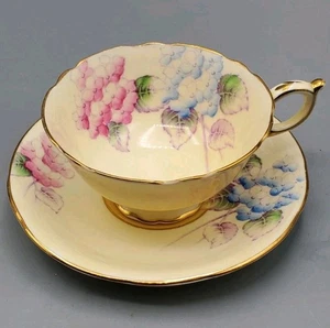 Paragon Double Warrant Rare "Hortsensia" Hydrangea Pattern Teacup & Saucer - Picture 1 of 11