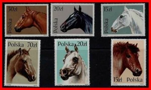 Poland 1989 HORSES Sc#2894-99 Mi#3190-95 MNH ANIMALS (too expensive???) - Picture 1 of 1