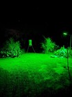 Hog Hunting Light Green Solar Light for Hunting Hogs on Feeders