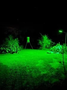Hog Hunting Light Green Solar Light for Hunting Hogs on Feeders - Picture 1 of 11