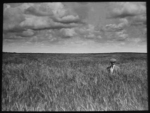 FIELD OF WHEAT CANADA & NEWFOUNDLAND C1913 Magic Lantern Slide PHOTO FARMING - Picture 1 of 3