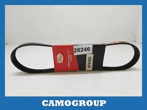 V-Ribbed Belt Gates Fiat Scudo Peugeot 206 306 Citroen Xsara - Picture 1 of 1