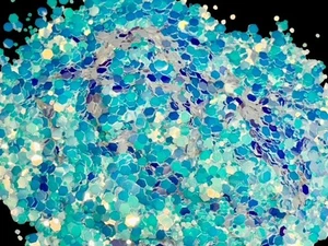 "Paradiso" Opal Custom Glitter Mix - Picture 1 of 6