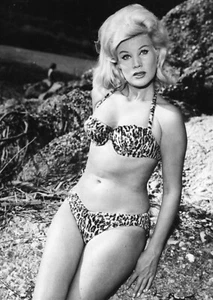 BIRGIT BERSEN - circa 1961 - Foto NAT Nuova Alta Tensione - SEXY PIN UP - Picture 1 of 2