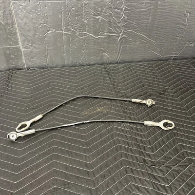 Ford F-150 F-250 F-350 1999-2012 par de cables de soporte de puerta trasera *desgaste* Foto 1 de 4